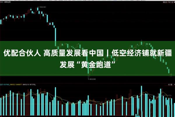 优配合伙人 高质量发展看中国丨低空经济铺就新疆发展“黄金跑道”