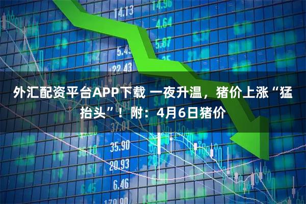 外汇配资平台APP下载 一夜升温,猪价上涨“猛抬头”!附:4月6日猪价