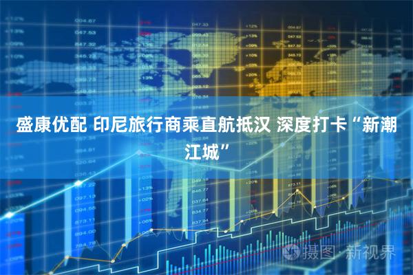 盛康优配 印尼旅行商乘直航抵汉 深度打卡“新潮江城”