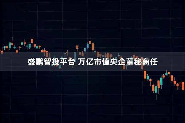 盛鹏智投平台 万亿市值央企董秘离任